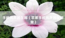 手机扬声器在哪（苹果手机扬声器在哪里）