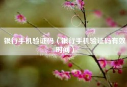 银行手机验证码（银行手机验证码有效时间）