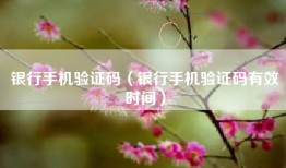 银行手机验证码（银行手机验证码有效时间）