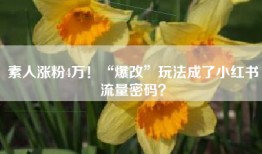 素人涨粉4万！“爆改”玩法成了小红书流量密码？