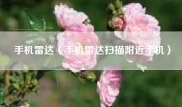 手机雷达（手机雷达扫描附近手机）