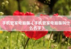 手机管家电脑版（手机管家电脑版叫什么名字）