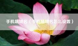 手机端域名（手机端域名怎么设置）