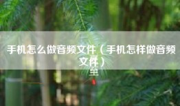手机怎么做音频文件（手机怎样做音频文件）
