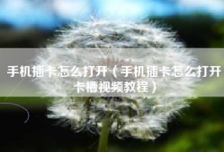 手机插卡怎么打开（手机插卡怎么打开卡槽视频教程）