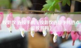 投影仪 连接手机（投影仪连接手机热点能投屏吗）