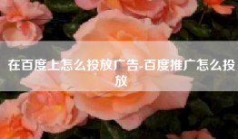 在百度上怎么投放广告-百度推广怎么投放