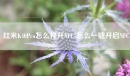 红米K40Pro怎么打开NFC-怎么一键开启NFC