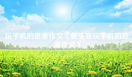 玩手机的危害作文（低头族玩手机的危害作文）