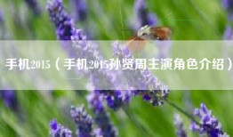 手机2015（手机2015孙贤周主演角色介绍）