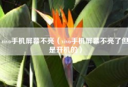 vivo手机屏幕不亮（vivo手机屏幕不亮了但是开机的）