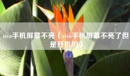 vivo手机屏幕不亮（vivo手机屏幕不亮了但是开机的）