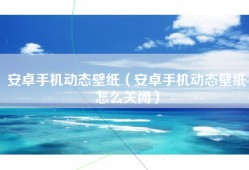 安卓手机动态壁纸（安卓手机动态壁纸怎么关闭）