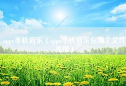 oppo手机音乐（oppo手机音乐在哪个文件夹里）