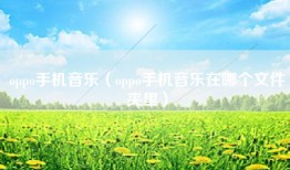 oppo手机音乐（oppo手机音乐在哪个文件夹里）