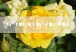 国产手机厂家（国产手机厂家排行）