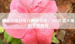 创业小项目排行榜前十名，2024年最火爆的生意推荐
