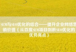 SEM与SEO优化的结合——提升企业网络营销价值（从百度SEM项目剖析SEO优化的优势亮点）
