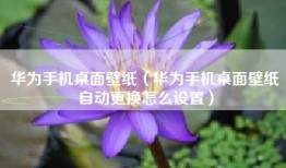 华为手机桌面壁纸（华为手机桌面壁纸自动更换怎么设置）