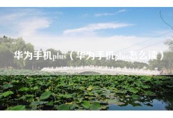华为手机plus（华为手机plus怎么读）