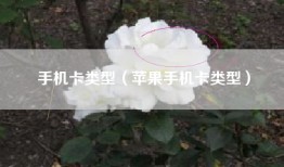 手机卡类型（苹果手机卡类型）