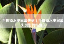手机掉水里屏幕失灵（手机掉水里屏幕失灵如何恢复）