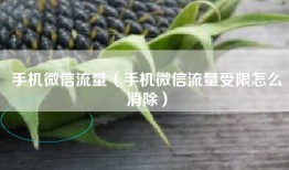 手机微信流量（手机微信流量受限怎么消除）