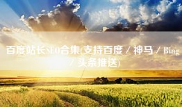百度站长SEO合集(支持百度／神马／Bing／头条推送)