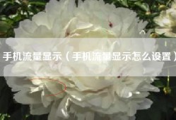 手机流量显示（手机流量显示怎么设置）