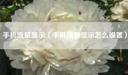 手机流量显示（手机流量显示怎么设置）