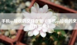 手机qq接收的文件在哪（手机qq接收的文件在那里）