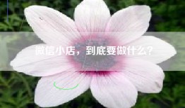 微信小店，到底要做什么？
