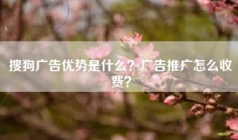搜狗广告优势是什么？广告推广怎么收费？