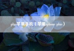 plus苹果手机（苹果iphone plus）