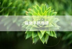 福州手机维修