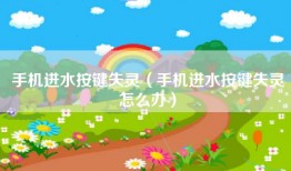 手机进水按键失灵（手机进水按键失灵怎么办）