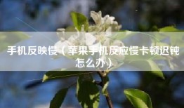 手机反映慢（苹果手机反应慢卡顿迟钝怎么办）