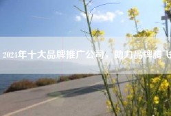 2024年十大品牌推广公司，助力品牌腾飞