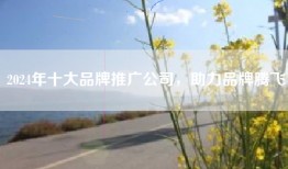 2024年十大品牌推广公司，助力品牌腾飞