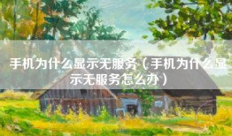 手机为什么显示无服务（手机为什么显示无服务怎么办）