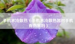 手机水冷散热（手机水冷散热器对手机有伤害吗）