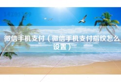 微信手机支付（微信手机支付指纹怎么设置）
