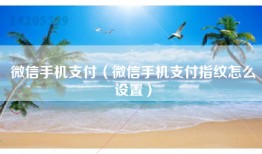 微信手机支付（微信手机支付指纹怎么设置）