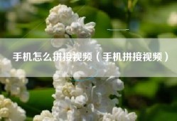 手机怎么拼接视频（手机拼接视频）