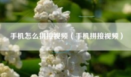手机怎么拼接视频（手机拼接视频）