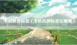 手机防拆标签（手机防拆标签在哪里）
