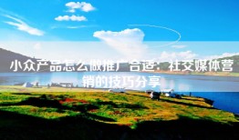 小众产品怎么做推广合适：社交媒体营销的技巧分享