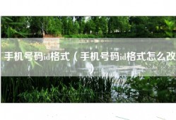 手机号码id格式（手机号码id格式怎么改）