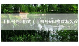 手机号码id格式（手机号码id格式怎么改）
