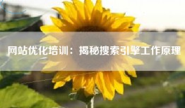 网站优化培训：揭秘搜索引擎工作原理
